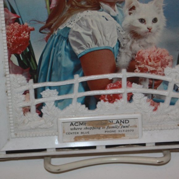 Vintage Acme Foodland Store Advertising Thermometer Picture Original Box - Picture 3 of 5